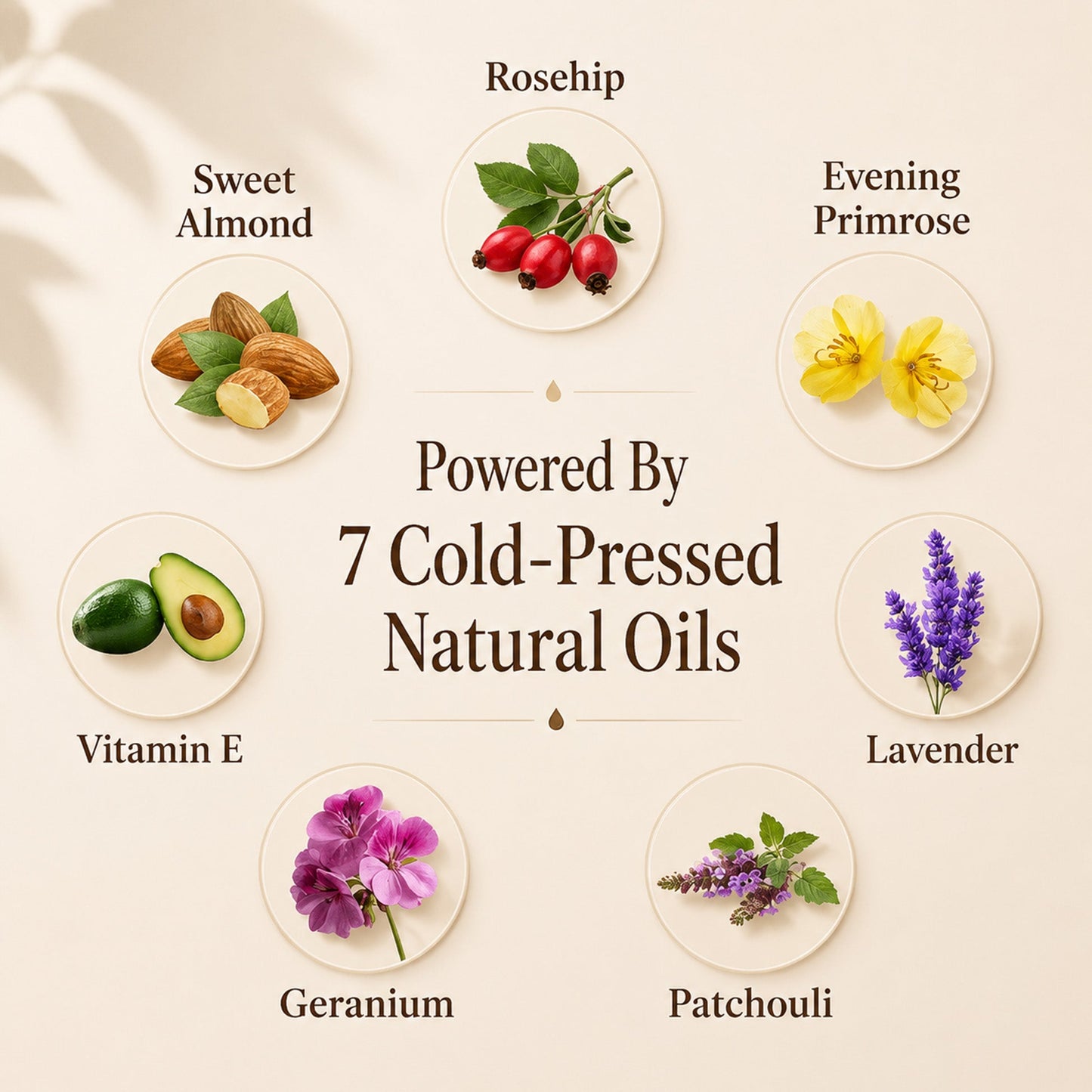 eknest Glow Body Oil 100ml