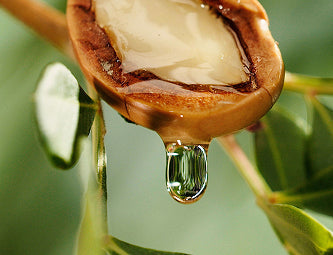 Argan_1_1b49fe2a-a174-473a-b45d-0d6df060b40c.jpg
