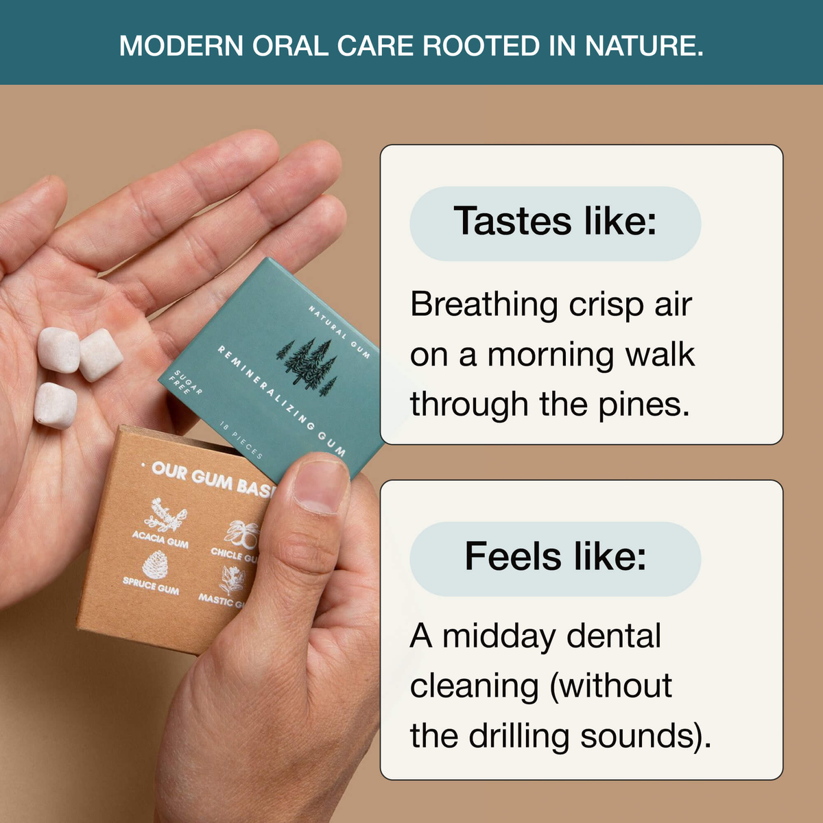 Underbrush Remineralizing Gum product and ingredient view 6