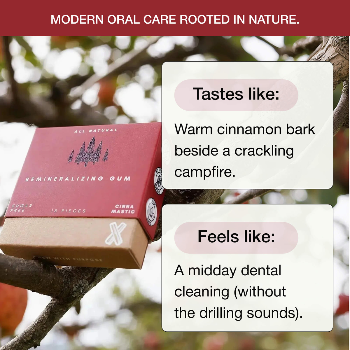 Underbrush Remineralizing Gum product and ingredient view 17