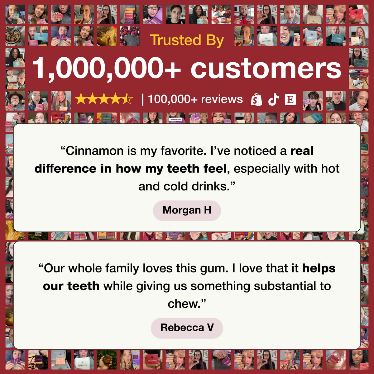 Underbrush Remineralizing Gum product and ingredient view 18