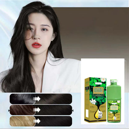 💞Black Friday Sale 50% OFF!!💇‍♀️💈Long-Lasting Plant-Based Bubble Mousse Hair Dye Shampoo, Gentle At-Home Gray Hair Coverage🛡️👍